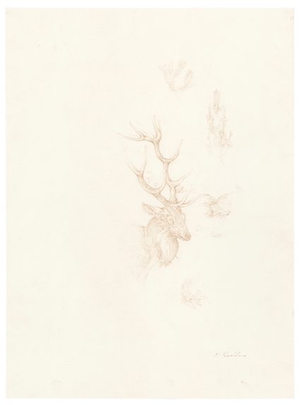 Christiana Soulou — Brown cerf