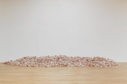 Darren Bader — Book (fortune cookies)