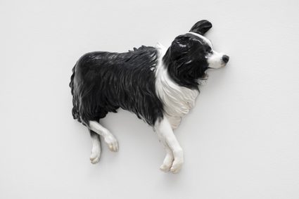 Diego Marcon — Altri cani morti (4)