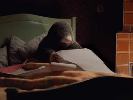 Diego Marcon — Dolle