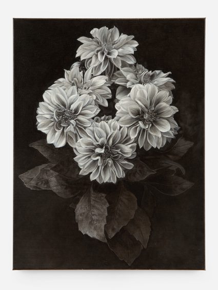 Don Brown — Dahlia