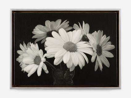 Don Brown — Daisies