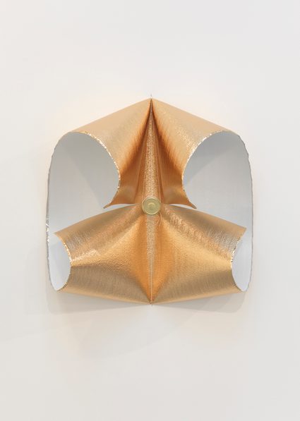Gabriel Kuri — Self Portrait as Non Transparent Point Chart