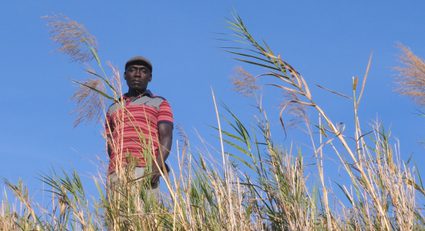 Karimah Ashadu — Plateau