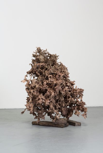 Matthew Barney — Water Cast 8