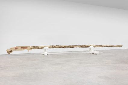 Matthew Barney — Basin Creek Burn