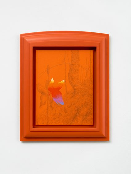 Matthew Barney — Fire Lupine