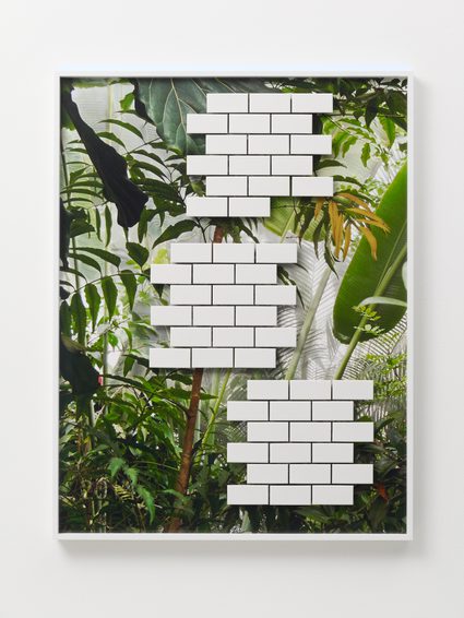 Michele Abeles — Jungle #02