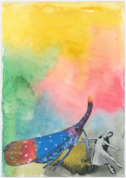 Monster Chetwynd — Lanternfly Ballet Encounters Collage
