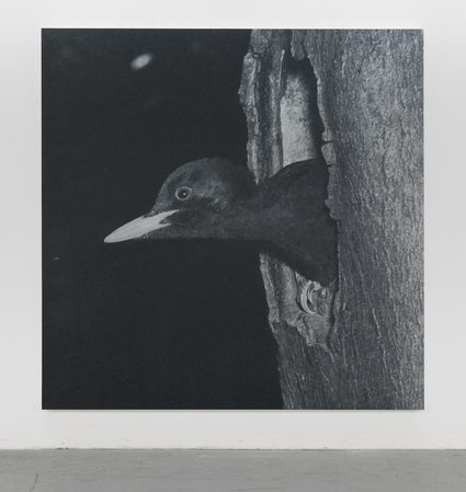 Rudolf Stingel — Untitled