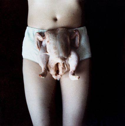 Sarah Lucas — Chicken Knickers