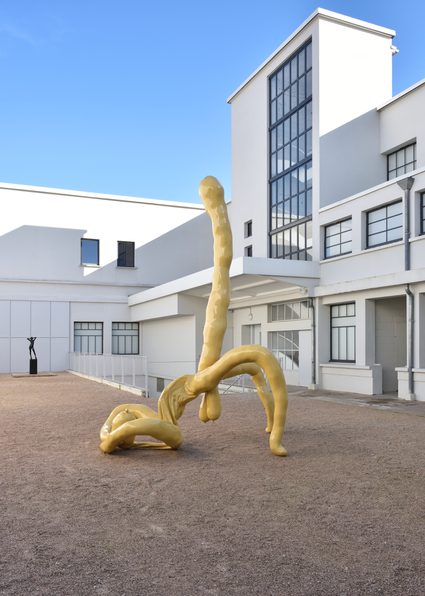 Sarah Lucas — Champagne Maradonna