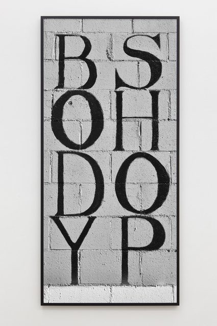 Shannon Ebner — The Body Shop