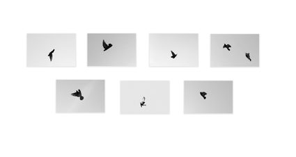Shannon Ebner — Signal Escapes