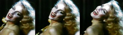 TJ Wilcox — The Jerry Hall Story