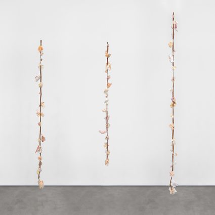 Tau Lewis — t.a.u.b.i.s. ropes (1,5,12)